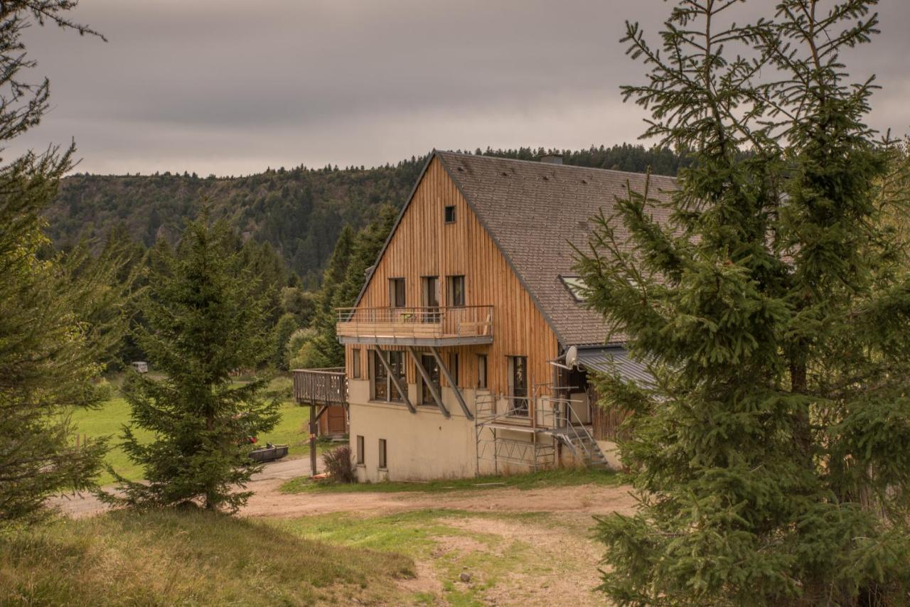 Terre De Sapins - Gites Nature Haut De Gamme Avec Sauna Au Coeur Du Lac Blanc Orbey Exterior foto