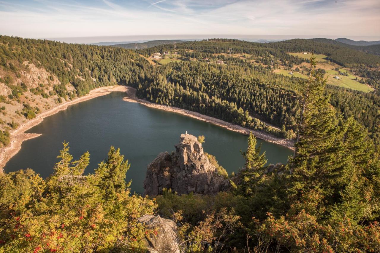 Terre De Sapins - Gites Nature Haut De Gamme Avec Sauna Au Coeur Du Lac Blanc Orbey Exterior foto